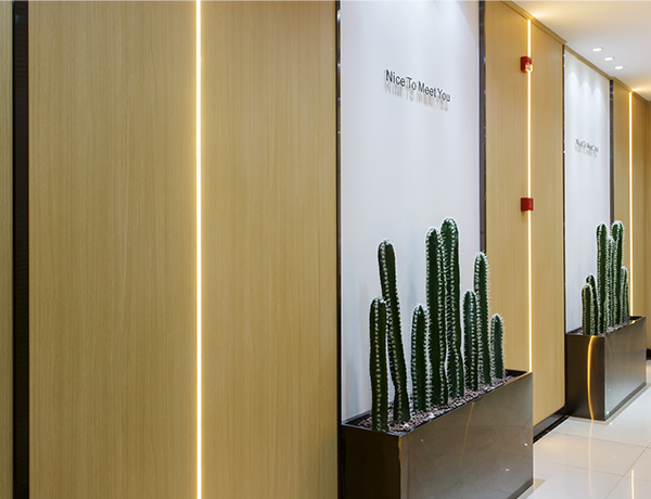 Ламинированная панель высокого давления